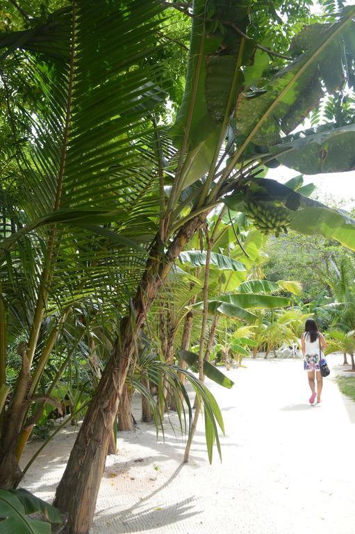 Villa Veuve Casadani Hotel La Digue Exterior photo